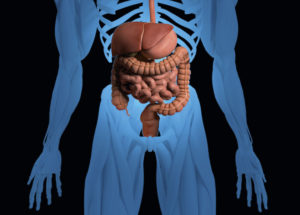 umpipussi