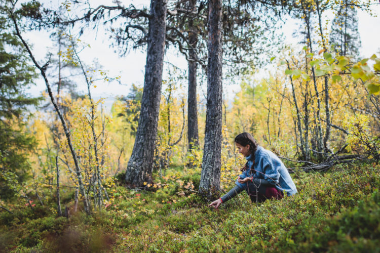 palautuminen hoitotyö marjastus